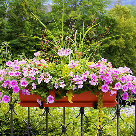 Aménager des extérieurs adaptés au climat québécois 2